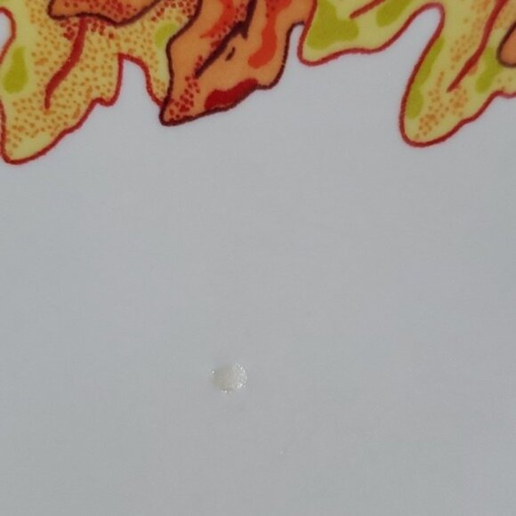 Fiestaware Fiesta Fall Leaves Acorn Ceramic Luncheon Plate 9" Classic Rim White - Picture 7 of 16